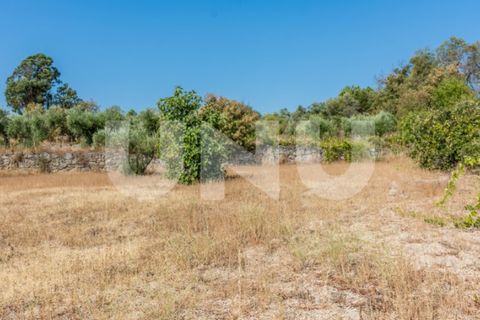 Tomt i Fundao, Castelo Branco, Fundao - € 75 000 | Ref: UNU.I.1317.12348 - foto 4