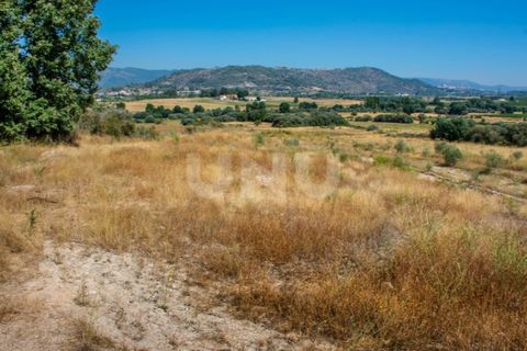 Helårsgrund i Belmonte, Castelo Branco, Belmonte - € 70.000 | Ref: UNU.I.1119.12348 - foto 4