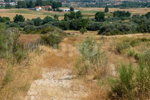 Helårsgrund i Belmonte, Castelo Branco, Belmonte - € 70.000 | Ref: UNU.I.1119.12348 - foto 5