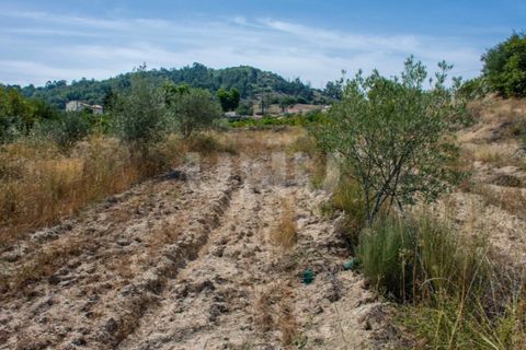 Helårsgrund i Belmonte, Castelo Branco, Belmonte - € 70.000 | Ref: UNU.I.1119.12348 - foto 6
