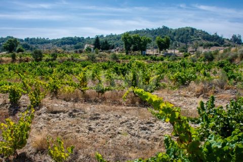 Helårsgrund i Belmonte, Castelo Branco, Belmonte - € 70.000 | Ref: UNU.I.1119.12348 - foto 7