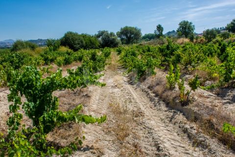Helårsgrund i Belmonte, Castelo Branco, Belmonte - € 70.000 | Ref: UNU.I.1119.12348 - foto 8