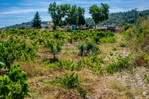 Helårsgrund i Belmonte, Castelo Branco, Belmonte - € 70.000 | Ref: UNU.I.1119.12348 - foto 9