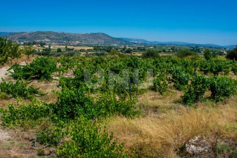 Helårsgrund i Belmonte, Castelo Branco, Belmonte - € 70.000 | Ref: UNU.I.1119.12348 - foto 10