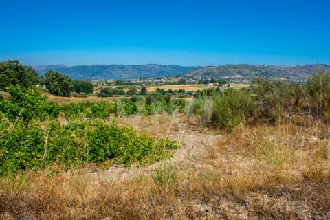 Helårsgrund i Belmonte, Castelo Branco, Belmonte - € 70.000 | Ref: UNU.I.1119.12348 - foto 11