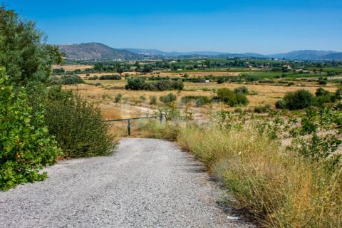 Helårsgrund i Belmonte, Castelo Branco, Belmonte - € 70.000 | Ref: UNU.I.1119.12348 - foto 12
