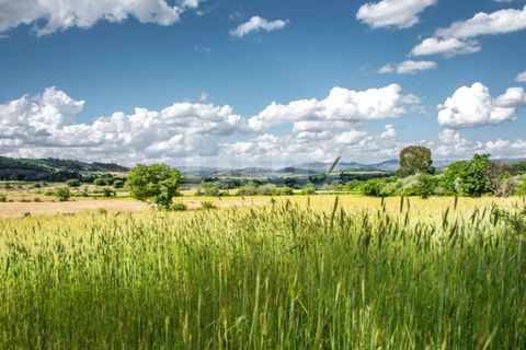 Terra a Caria, Castelo Branco, Caria - € 46.000 | Ref: UNU.I.1088.12348 - foto 2