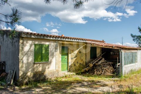 Terra a Caria, Castelo Branco, Caria - € 46.000 | Ref: UNU.I.1088.12348 - foto 3