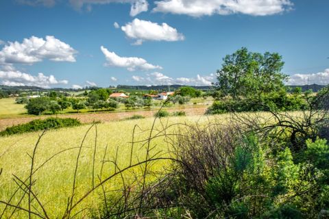Terra a Caria, Castelo Branco, Caria - € 46.000 | Ref: UNU.I.1088.12348 - foto 4