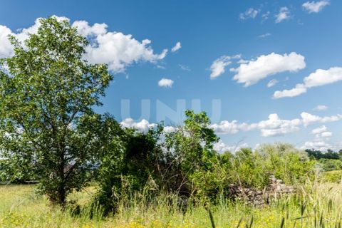 Terra a Caria, Castelo Branco, Caria - € 46.000 | Ref: UNU.I.1088.12348 - foto 5