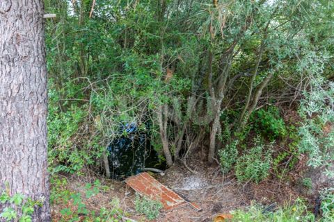 Terra a Caria, Castelo Branco, Caria - € 46.000 | Ref: UNU.I.1088.12348 - foto 6