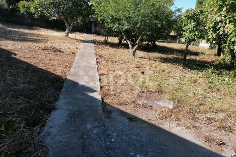 Helårsgrund i Carcavelos, Lisbon, Carcavelos - € 650.000 | Ref: XSPSÒL_235 - foto 1