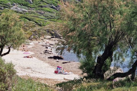 Landejendom i Corbara, Haute-Corse, Corbara - € 3.240.000 | Ref: VITBS 2024 B - foto 3