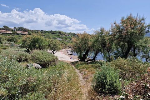 Landejendom i Corbara, Haute-Corse, Corbara - € 3.240.000 | Ref: VITBS 2024 B - foto 13