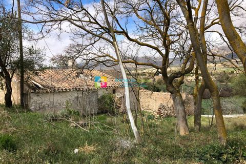 Landejendom i Chirivel, Almeria, Chirivel - € 39.000 | Ref: 2182 - foto 2
