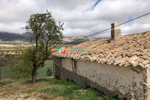 Landejendom i Chirivel, Almeria, Chirivel - € 39.000 | Ref: 2182 - foto 4
