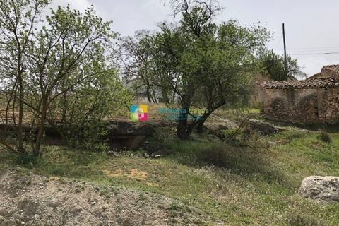 Landejendom i Chirivel, Almeria, Chirivel - € 39.000 | Ref: 2182 - foto 10