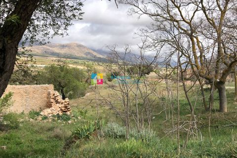 Landejendom i Chirivel, Almeria, Chirivel - € 39.000 | Ref: 2182 - foto 12