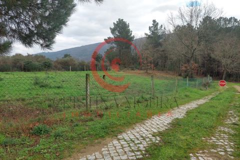 Helårsgrund i Chaves, Vila Real, Chaves - € 65.000 | Ref: CM01-0011 - foto 2