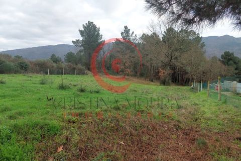Helårsgrund i Chaves, Vila Real, Chaves - € 65.000 | Ref: CM01-0011 - foto 10
