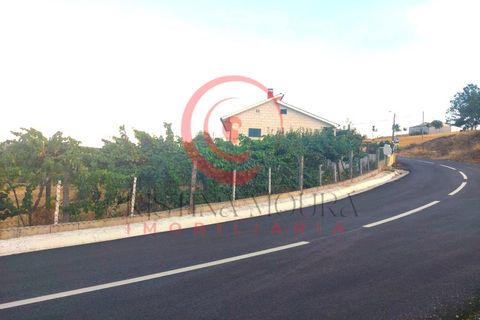 Villa i Travancas e Roriz, Vila Real, Travancas e Roriz - € 210.000 | Ref: CM01-0043 - foto 13