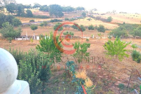 Villa i Travancas e Roriz, Vila Real, Travancas e Roriz - € 210.000 | Ref: CM01-0043 - foto 22