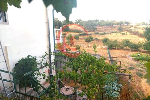 Villa i Travancas e Roriz, Vila Real, Travancas e Roriz - € 210.000 | Ref: CM01-0043 - foto 23