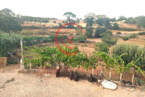 Villa i Travancas e Roriz, Vila Real, Travancas e Roriz - € 210.000 | Ref: CM01-0043 - foto 25