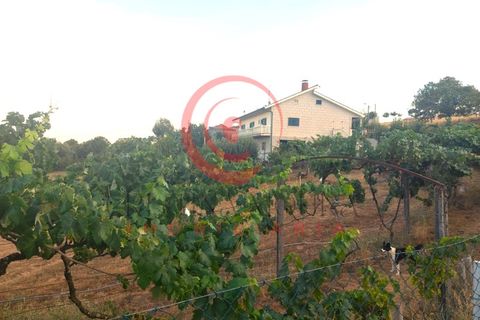 Villa i Travancas e Roriz, Vila Real, Travancas e Roriz - € 210.000 | Ref: CM01-0043 - foto 35