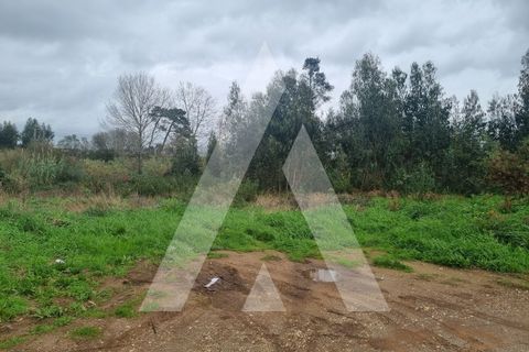 Helårsgrund i Barro, Aveiro, Barro - € 43.000 | Ref: 1020794/22 FR - foto 2