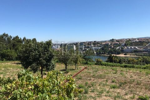 Helårsgrund i Oliveira do Douro, Porto, Oliveira do Douro - € 1.250.000 | Ref: 014/23 - foto 2