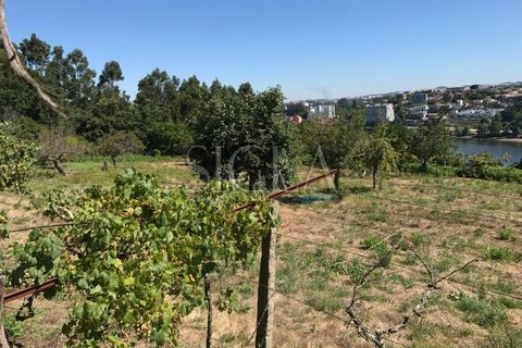 Helårsgrund i Oliveira do Douro, Porto, Oliveira do Douro - € 1.250.000 | Ref: 014/23 - foto 3