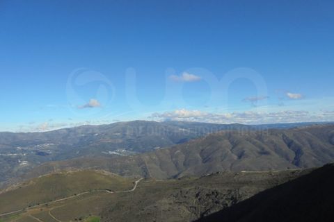 Landejendom i Arouca, Aveiro, Arouca - € 35.000 | Ref: 41581 - foto 10