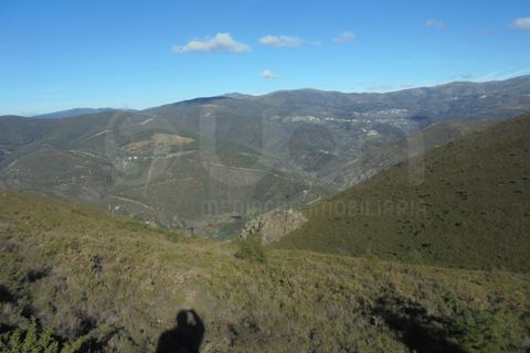 Landejendom i Arouca, Aveiro, Arouca - € 35.000 | Ref: 41581 - foto 11