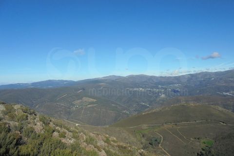 Landejendom i Arouca, Aveiro, Arouca - € 35.000 | Ref: 41581 - foto 15