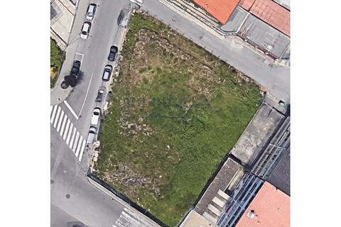 Helårsgrund i Oliveira do Douro, Porto, Oliveira do Douro - € 450.000 | Ref: T-00453 - foto 10