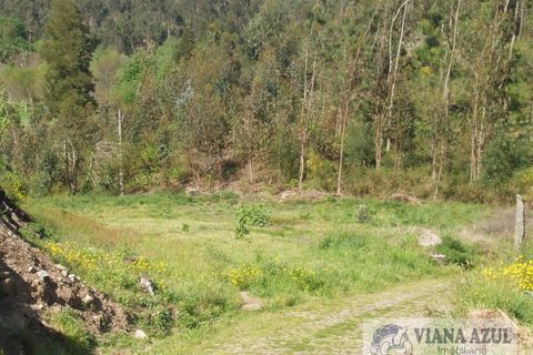 Helårsgrund i Ponte de Lima, Viana do Castelo, Ponte de Lima - € 57.500 | Ref: 1492 - foto 3