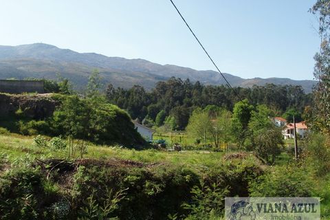 Helårsgrund i Ponte de Lima, Viana do Castelo, Ponte de Lima - € 57.500 | Ref: 1492 - foto 5
