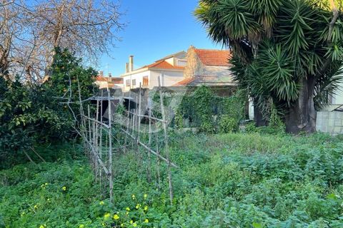 Villa i Ilhavo, Aveiro, Ilhavo - € 250.000 | Ref: 3932 - foto 11