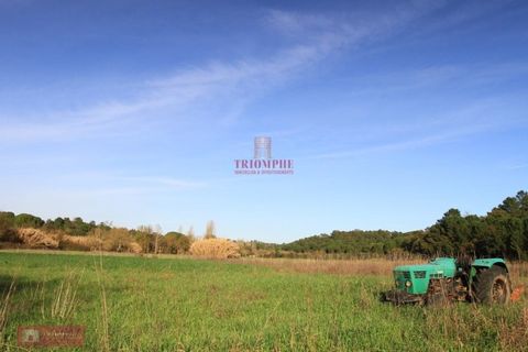 Helårsgrund i Tomar, Santarem, Tomar - € 91.000 | Ref: TPH226-04 - foto 1
