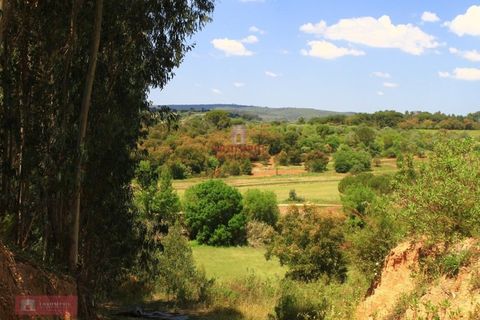 Helårsgrund i Tomar, Santarem, Tomar - € 91.000 | Ref: TPH226-04 - foto 3
