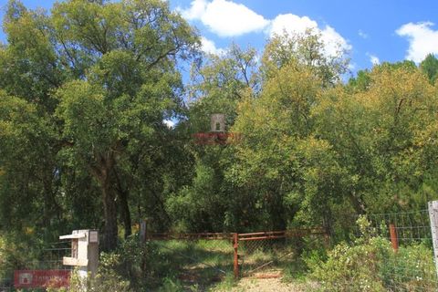 Helårsgrund i Tomar, Santarem, Tomar - € 91.000 | Ref: TPH226-04 - foto 5