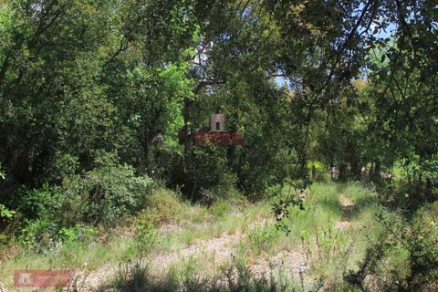 Helårsgrund i Tomar, Santarem, Tomar - € 91.000 | Ref: TPH226-04 - foto 9