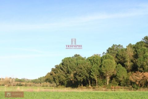 Helårsgrund i Tomar, Santarem, Tomar - € 91.000 | Ref: TPH226-04 - foto 11