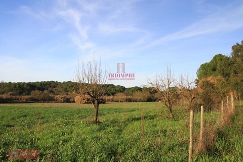 Helårsgrund i Tomar, Santarem, Tomar - € 91.000 | Ref: TPH226-04 - foto 12