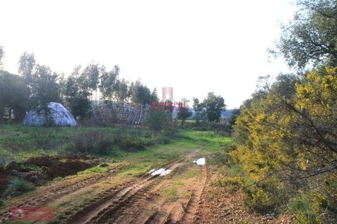 Helårsgrund i Tomar, Santarem, Tomar - € 91.000 | Ref: TPH226-04 - foto 13