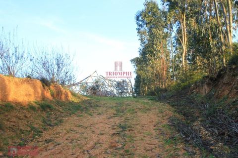 Helårsgrund i Tomar, Santarem, Tomar - € 91.000 | Ref: TPH226-04 - foto 14