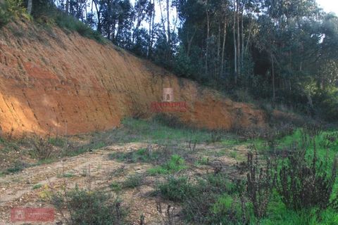Helårsgrund i Tomar, Santarem, Tomar - € 91.000 | Ref: TPH226-04 - foto 16