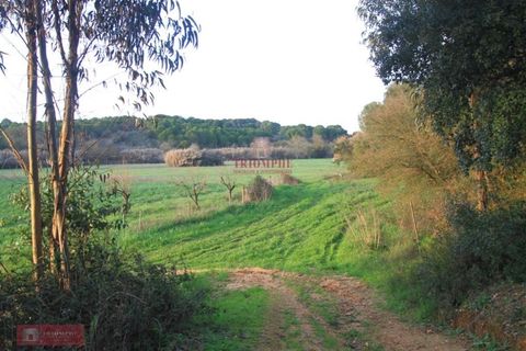 Helårsgrund i Tomar, Santarem, Tomar - € 91.000 | Ref: TPH226-04 - foto 17