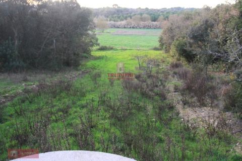Helårsgrund i Tomar, Santarem, Tomar - € 91.000 | Ref: TPH226-04 - foto 18